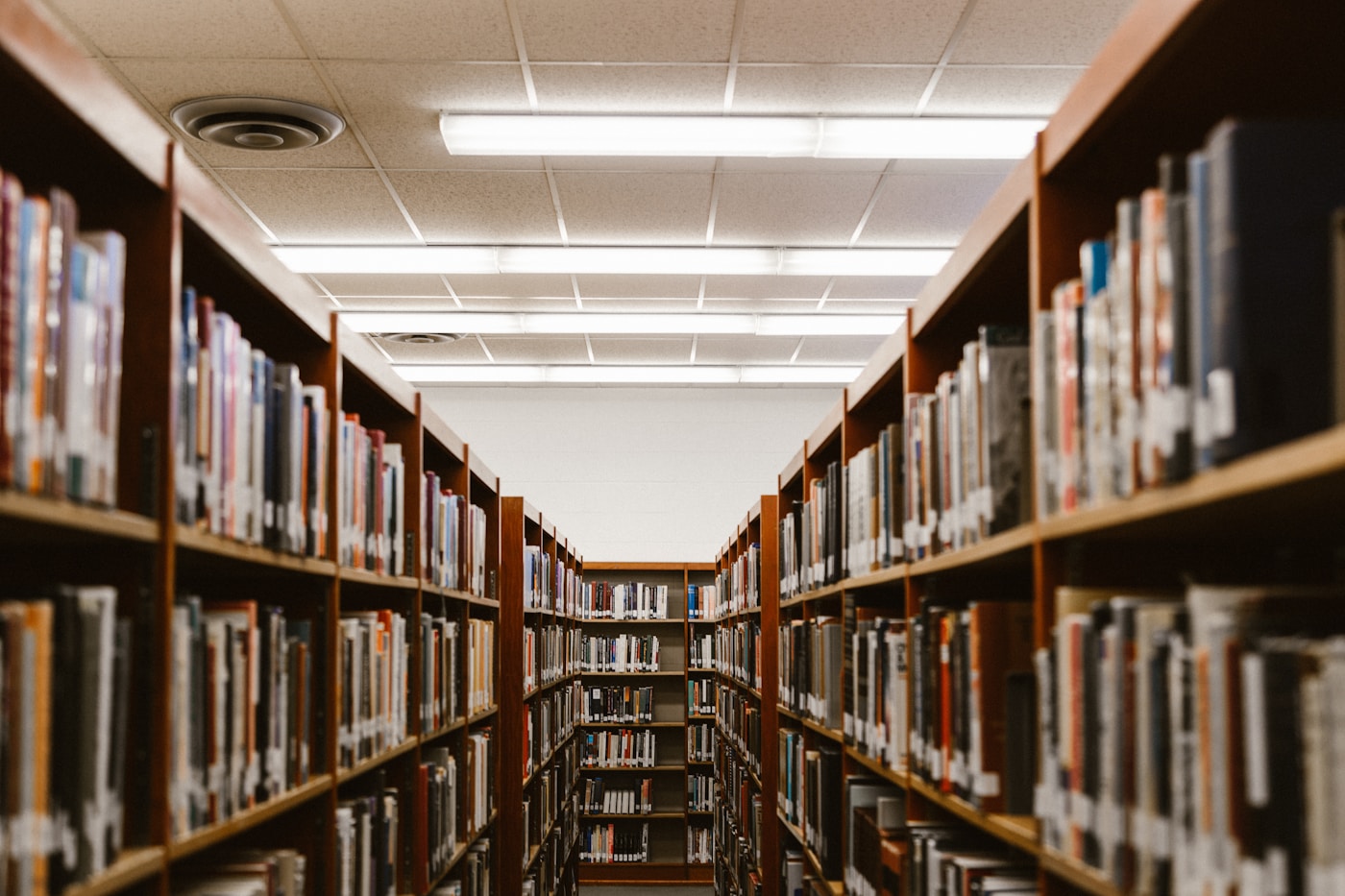 Campus en soirée — contexte d’étude et de suivi de cohorte